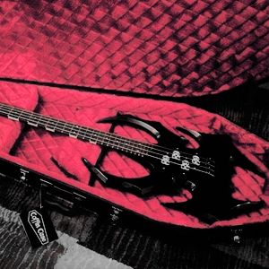 Red And White Guitar, Gothic Music Room, Coffin Guitar Case, Cool Guitars Electric, Spider Guitar, Cool Drums, Gothic Guitar, Bass Guitar Design, Electro Guitar