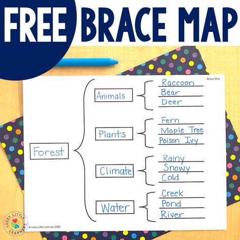 We use thinking maps for everything! Free Tree maps and free brace maps are good for introducing how main ideas and key details are related. Brace Map Thinking Map, Tree Map Thinking Map, Thinking Maps Math, Pk Activities, Main Idea And Key Details, Teaching Main Idea, Thinking Map, Tree Map, Map Ideas