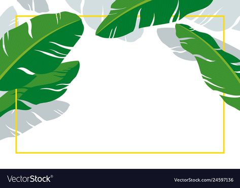 Banana Leaves Background, Packaging Snack, Summer Vector, Banana Leaves, Leaves Vector, Leaf Background, Tropical Summer, Banana Leaf, Red Background