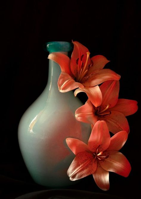 Still life photography | Reflections of Red... | Facebook Still Life Photography Flowers, Flowers Still Life Photography, Flower Still Life Photography, Flower Still Life, Still Life Photos, Life Photography, Still Life Photography, Flowers Photography, Red Flowers