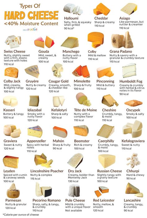 Hard Cheeses List, Cheese Knowledge, Carnivores Diet, Cheese List, Culinary Basics, Type Of Cheese, Food Lessons, Cooking Measurements, Smoked Cheese