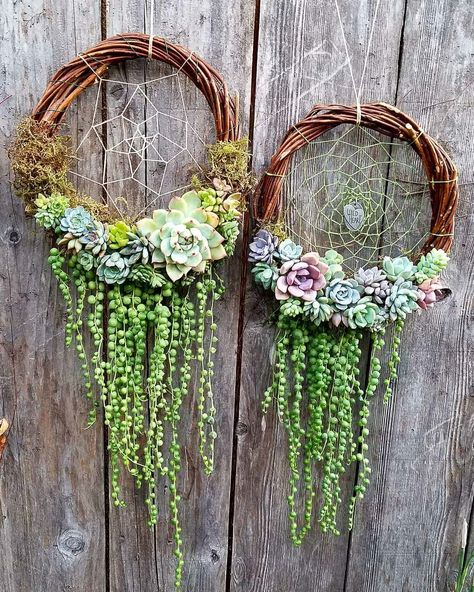 Succulent dream catchers - Album on Imgur Taman Air, Upcycle Garden, Succulent Wreath, Boho Garden, Succulents Decor, Garden Art Sculptures Diy, Indoor Jungle, Creative Gardening, Cactus Y Suculentas