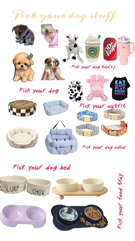 Dog Accessories Aesthetic, New Puppy Checklist, Puppy Checklist, Cute Travel Outfits, Preppy Dog, Very Cute Puppies, Accessories Aesthetic, Dog Essentials, Cute Rats