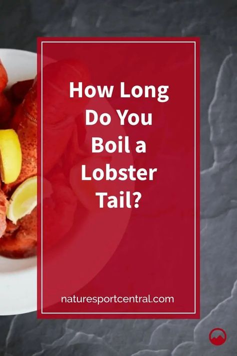 How Long Do You Boil a Lobster Tail #fishing #fish #flyfishing #bassfishing #fishinglife #catchandrelease #trout #bass How Long To Boil Lobster Tails, Boiled Lobster Tail Recipe, Boil Lobster Tail, Boiled Lobster, Cooking Frozen Lobster Tails, Crayfish Tails, Frozen Lobster Tails, Cook Lobster, Broil Lobster Tail