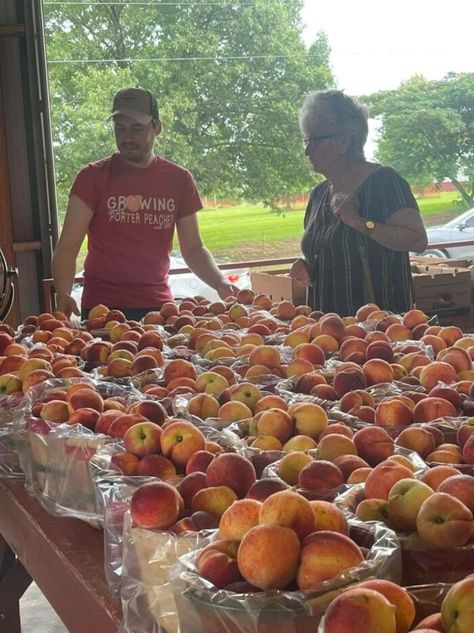 Visit The Porter Peach Festival In Oklahoma This Summer Fruit Festival, Peach Festival, Festival Foods, Peach Ice Cream, Highest Bidder, Fresh Peaches, Running 5k, Peach Recipe, Sweet Peach