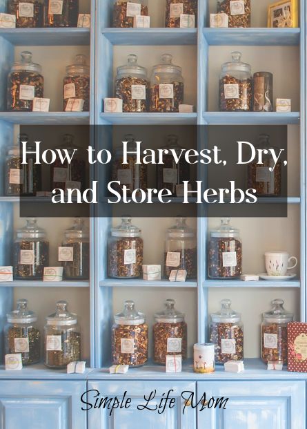 How To Store Dried Herbs, Herbal Store Ideas, How To Store Herbs, How To Dry Herbs, Herb Storage Ideas, Herbal Storage, Farm Store Ideas, Herb Pantry, Herbs Drying