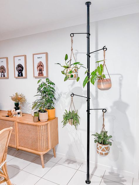 Plant Pole, Suspended Bed, Plant Hanging, Hanging Plants Indoor, Indoor Jungle, House Plants Decor, Urban Oasis, Room Size, Bench Table