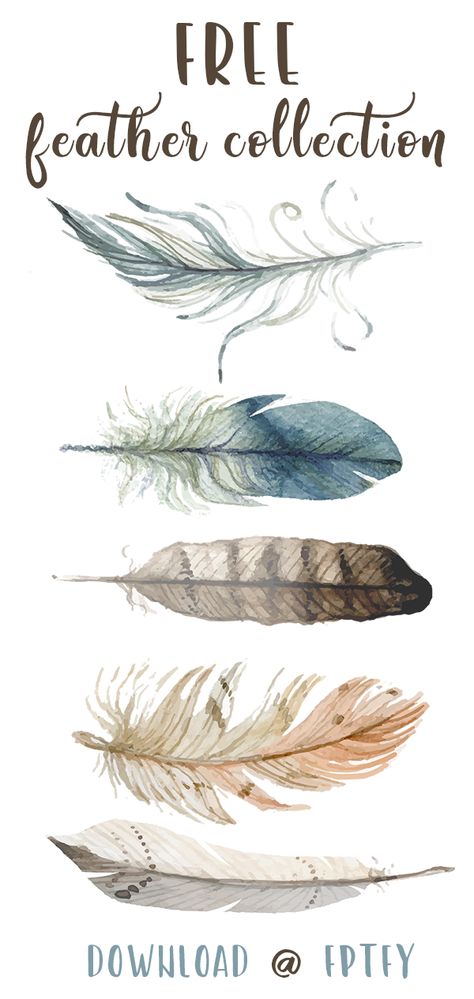 Feather Collection, Fashion Maker, Watercolor Feather, Free Printable Wall Art, Free Hand Drawing, Feather Art, Crafts Jewelry, Free Graphics, Free Hand