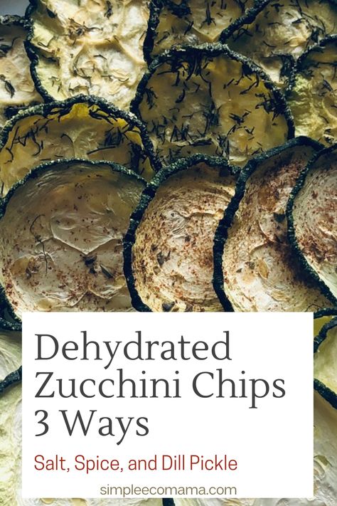 Looking for ways to use up your summer garden zucchini? Dehydrating zucchini is a great way to preserve your zucchini and it makes for a delicious and healthy snack. Dehydrated zucchini chips are great to eat as is or combined with your favorite dip of choice such as guacamole or ranch. Vegan, glutenfree, paleo. #dehydratedzucchinichips #diaryfree #gardenrecipe #gardenzucchini #glutenfree #healthy #lowcarb #summerrecipe #zucchini #zucchinichips #zucchinirecipes #zucchinisquash #paleo Zucchini Chips Dehydrator, Dried Zucchini Chips, Vegetable Preserving, Dehydrate Zucchini, Dehydrating Zucchini, Dehydrate Recipes, Dehydrated Zucchini, Dehydrated Zucchini Chips, Abundant Garden