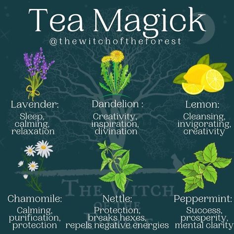 Tea Magick, Tea Blends Recipes, Herbal Tea Garden, Kitchen Witch Recipes, Witch Herbs, Magia Das Ervas, Herbal Teas Recipes, Magic Herbs, Magical Herbs