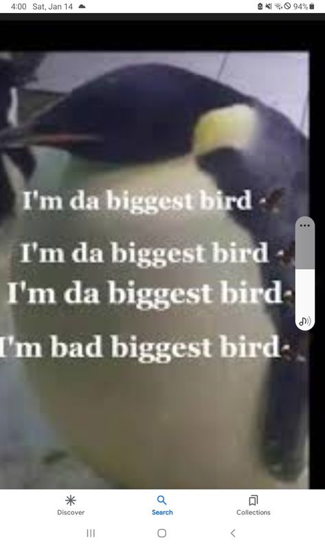 Da Biggest Bird, Biggest Bird, Big Bird