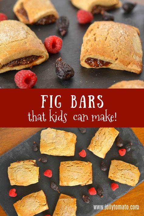 Homemade Bars For Kids, Gluten Free Fig Bars Recipe, Homemade Fruit Bars Kids, Homemade Fig Bars, Copycat Natures Bakery Fig Bar, Homemade Granola Bars For Kids, Natures Bakery Fig Bar Recipe, Homemade Toddler Snack Bars, Fig Jelly