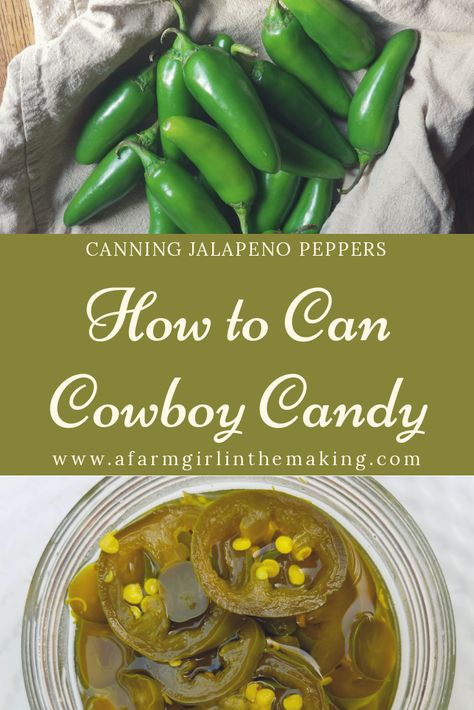 Cowboy Candy | Canning Candied Jalapeno Peppers Jalapeno Chutney, Canning Jalapeno Peppers, Canned Jalapenos, Pepper Jelly Recipes, Pickled Jalapenos, Cowboy Candy, Candied Jalapenos, Home Canning Recipes, Jalapeno Recipes