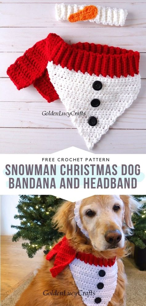 Festive Dog Scarves and Bandanas with Free Crochet Patterns Crochet Stocking For Dog, Crochet Dog Sweater Christmas, Crochet Dog Elf Hat Free Pattern, Crochet Dog Bandana Free Pattern Christmas, Dog Santa Hat Crochet Pattern, Crochet Scarf For Dogs Free Pattern, Crochet Dog Christmas Hat Free Pattern, Crochet Dog Hat Patterns Free, Crochet Christmas Dog Bandana