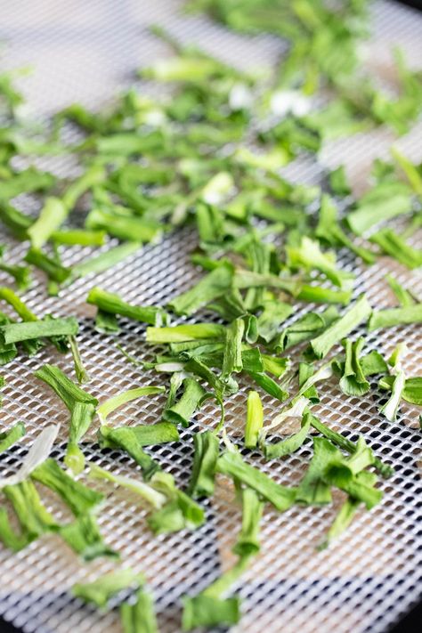 Drying green onions in the dehydrator is super easy! In this tutorial, I'll show you how to dehydrate green onions, how to make green onions flakes, and how to make green onion powder. Dehydrate Green Onions, Freezing Vegetables, How To Make Green, Easy Canning, Preserving Herbs, Dehydrated Vegetables, Long Term Food Storage, Water Bath Canning, How To Make Greens