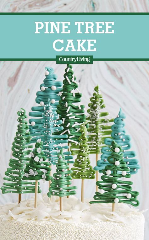 Make this festive pine tree cake at your next holiday celebration.   #easyrecipe #recipe #food #ideas #inspiration #dessert #holiday Tree Cake Ideas, Pine Tree Cake, Chocolate Chip Cake, Christmas Cake Decorations, Tree Cake, Christmas Tree Cake, Christmas Cakes, Tree Cakes, Christmas Sweets