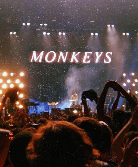 505 Arctic Monkeys Wallpaper, Emo Paintings, Ftm Pride, Tumblr Filters, Pride Flowers, Monkeys Wallpaper, 505 Arctic Monkeys, Arctic Monkeys Wallpaper, Snow Photoshoot