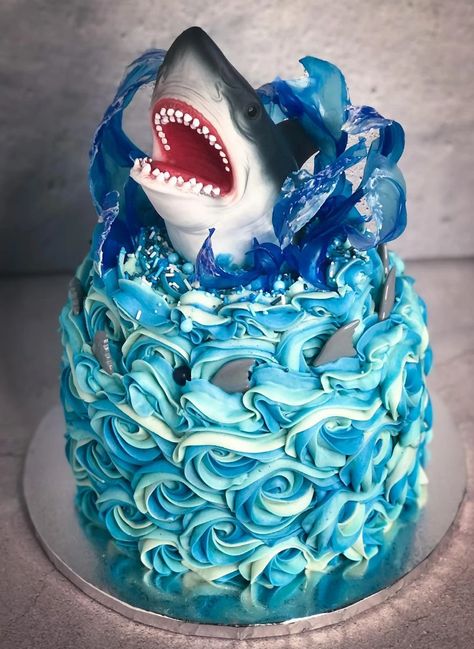 Megladon Shark Cake, Buttercream Shark Cake, Easy Shark Cake Ideas, Shark Head Cake, Shark Birthday Cake Ideas, Shark Party Cake, Easy Shark Cake, Shark Birthday Cakes For Boys, Megalodon Cake