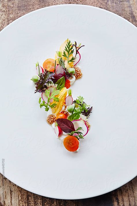 Stock photo of Fresh burrata mozzarella salad with veggies by trinettereed Salad With Veggies, Burrata Mozzarella, Salad Presentation, Fine Dining Plating, Gourmet Food Plating, Food Plating Techniques, Resep Seafood, Plating Ideas, Burrata Salad