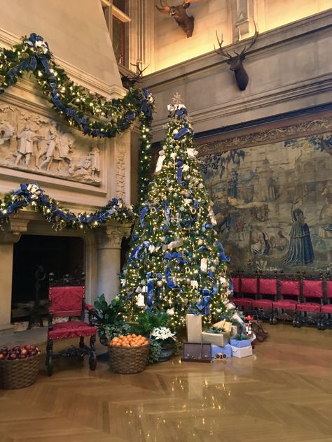 Biltmore Christmas Visit 2018 Mansion Christmas, Huge Christmas Tree, Christmas Home Exterior, Biltmore Christmas, Fairytale Christmas, Dream Christmas, Usa Christmas, Biltmore House, Fantasy Furniture