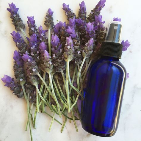 Lavender Perfume Diy, Diy Lavender, Jasmine Perfume, Lavender Perfume, Lavender Recipes, Flower Perfume, Perfume Recipes, Lavender Spray, Diy Perfume