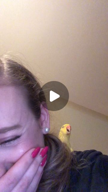 1M views · 77K likes | TWINKIE 🐥 on Instagram: "OBVIOUSLY HAD 2 BRING BAK MY ✨MOST ICONIC✨ VIDEO OF ALL TIME 4 DA LAST EPISODE OF ~SEXII SATURDAY~ IN 2023 🔥☕️🥵☀️🌶️ SING IT WIT ME EVERYBIRDIE!!! 🎤 #TeamTwinkie #CeleBIRDY #PamperedParrot  ————————————————— #IndianRingneck #TalkingIndianRingneck #IRN #TalkingParrot #TalkingParakeet #TalkingBird #TwinkietheIRN #PeekABooParrot #GiveMeAKiss #Parrots #BirdsofInstagram #MyParrot #ParrotLife #PetVideo #Parrots_life #animalsofinstagram #cuteanimals #cutebirds #birds #funny #mydailysmile #indianringnecksofinstagram #StinkyTwinkie #Birbs #2023 #newyear  #nye" Funny Birds Videos, Funny Parrots Videos, Talking Birds Videos, Parrot Singing, Talking Parrots Videos, Talking Birds, Birds Funny, Cute Parrot, Singing Birds