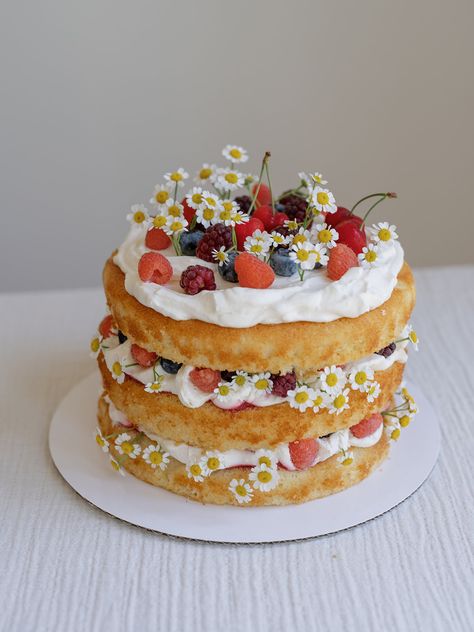 A vanilla-scented sponge cake layered with a raspberry soak, chantilly cream and loads of fresh berries. This whimsical cake is light, not-too-sweet and oh so beautiful. To finish, I like to top it with tons of berries and blooms sticking out of the sides. Notes The cake layers can be made days in advanced, wrapped […] Layered Fruit Cake, Layered Sponge Cake, Chantilly Birthday Cake, Raspberry Decorated Cake, Vanilla Berry Cake, Berry Birthday Cake, Raspberry Birthday Cake, Flat Cake, Chantilly Cake