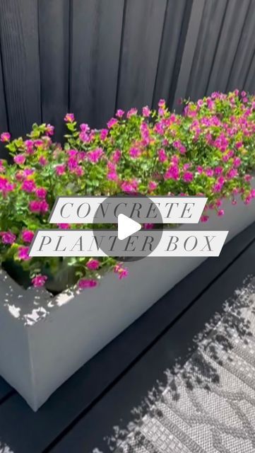 Kim Woodward | DIY & Home on Instagram: "Check out these easy to build faux cement planters 🌺. I love the look of cement planters but they are crazy expensive so I built my own. I already had the wood boxes from another project so decided to spruce them up with cement board and cement covering. After it dries I gave it a light sand. I didn’t want it too rough or too smooth just textured enough. I did also spray some waterproof cement sealer too for added protection. I have 5 more wooden boxes left and will be transforming them all with this method. ❤️Live how they turned out. 🌺🌺🌺🌺. #planter #planterbox #diyhousetohome #concreteplanter #concreteplanters #diygarden #landscapeinspiration #landscaping #flowers" Concrete Planter Ideas Outdoor, Concrete Outdoor Planters, Planter Box Gardens, Cheap Planter Ideas Diy, Concrete Planters Front Porch, Cement Planter Boxes, Styrofoam Planter Boxes, Planter Beds Landscaping, Plant Boxes Outdoor Garden Ideas