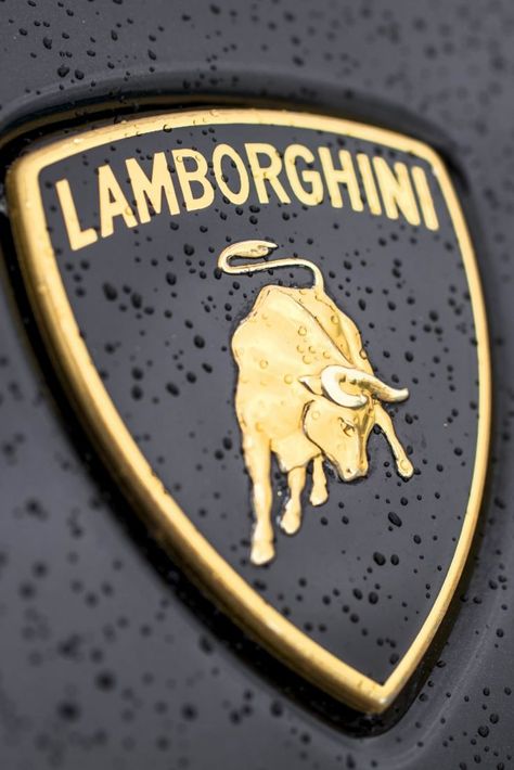 Lamborghini Symbol, Luxury Car Logos, Lamborghini Logo, Iphone 6 Plus Wallpaper, Hd Logo, New Luxury Cars, Bull Logo, Lamborghini Veneno, Lamborghini Cars