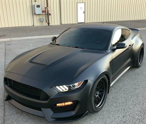 Mustang Gt 350, Black Mustang, Mustang Shelby, Mustang Gt, Matte Black, Mustang, Sports Car, Black