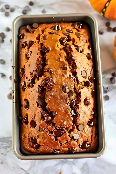 Pumpkin And Chocolate Chip Bread, Chocolate Chip Pumpkin Loaf, Pumpkin Bread With Chocolate Chips, Chocolate Pumpkin Bread, Pumpkin Cream Cheese Bread, Pumpkin Loaf, Chocolate Chip Bread, Bread Maker Recipes, Pumpkin Chocolate Chip Bread