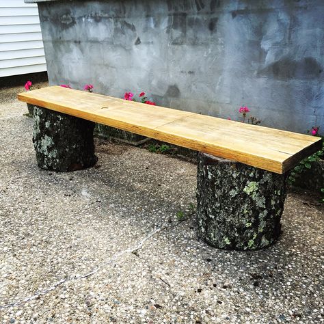 Wood Stump Bench Outdoor Seating, Stump Benches Diy, Upcycled Tree Stumps, Bench Made From Tree Trunk, Tree Stump Bench Ideas, Wood Log Bench, Diy Tree Stump Ideas, Tree Stump Bench, Tree Trunk Bench