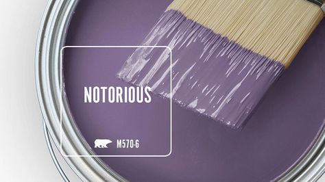 Witchy Wall Paint Colors, Behr Marquee Paint Colors, Behr Purple, Paint Colors Purple, Paint Colors Bathroom, Purple Themed Bedroom, Purple Palace, Behr Marquee Paint, Paint Pallets