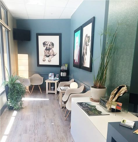 Vet Office Decor, Pet Store Design, Waiting Room Design, Dental Office Design Interiors, Vet Office, Lobby Decor, Medical Office Design, Hospital Interior, Clinic Interior Design