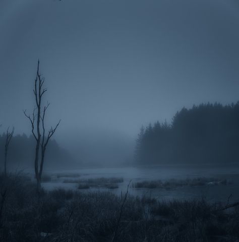 Foggy Swamp, Swamp Scene, Desolate Landscape, Bleak Midwinter, Dark Landscape, Art Landscapes, Photoshop Backgrounds, Aesthetic Pics, Fantasy Art Landscapes