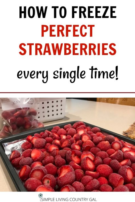 How To Freeze Fresh Strawberries, How To Freeze Strawberries, Preserve Strawberries, Freezing Produce, Freeze Vegetables, Freezing Food Guide, Freeze Fruit, Freezing Veggies, Freeze Strawberries