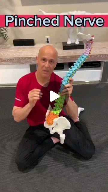 @fix.backpain on Instagram: "Low Back, Pinched Nerve, Sciatica Quick Relief! Follow For More Post -: @fix.backpain Credit -: @motivationaldoc" Nerves In Back, Pinched Nerve Relief, Low Back Pain Relief, Back Relief, Dr Mandell, Pinched Nerve, Sciatica Pain Relief, Sciatica Relief, Lower Back Pain Relief