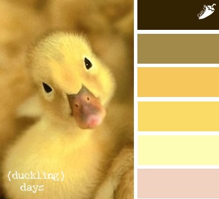 Duck Color Palette, Spidersona Ideas, Ugly Duckling, Ibis Paint, Colour Board, Embroidery Ideas, Color Pallets, Colour Tone, Color Palettes