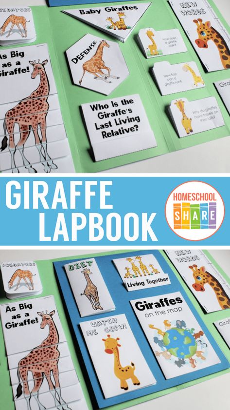 Giraffes Lapbook - Homeschool Share Sassafras Zoology, Animal Lapbook, Giraffe Running, Interactive Lapbooks, Giraffe Facts, Lapbook Ideas, 4h Ideas, 3rd Grade Activities, Lap Books