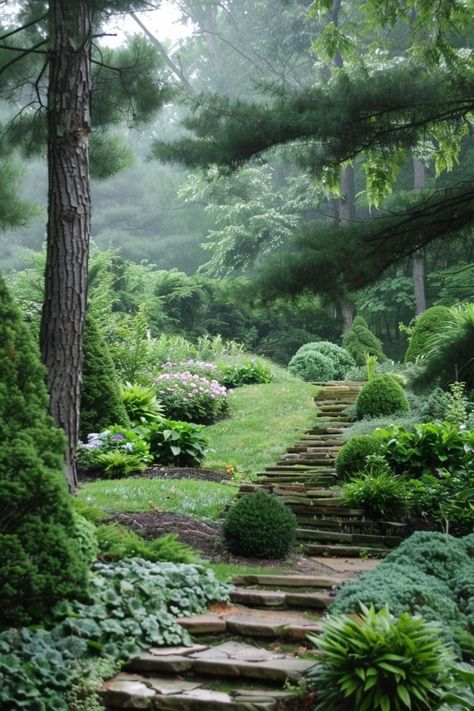 Forest Landscaping, Hillside Gardens, Kevin Carden, Hillside Landscape, Best Garden Layout, Garden Layout Ideas, Hillside Garden, Garden Stairs, Diy Backyard Landscaping