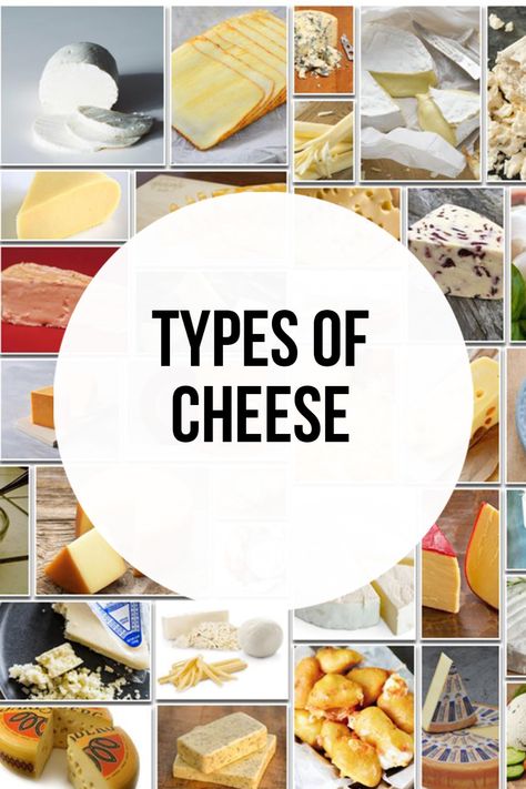 Different Type Of Cheese, Cheese Names, Ancient Food, Different Types Of Cheese, Spreadable Cheese, Cow Cheese, White Cheese, Gouda Cheese, Cheese Curds