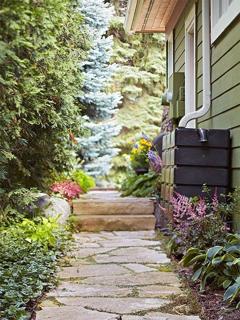 Catch the Rain Garden Problems, Small Yard Landscaping, Small Garden Landscape, Rain Barrels, Garden Solutions, Sloped Garden, Ground Cover Plants, Rain Barrel, Small Yard