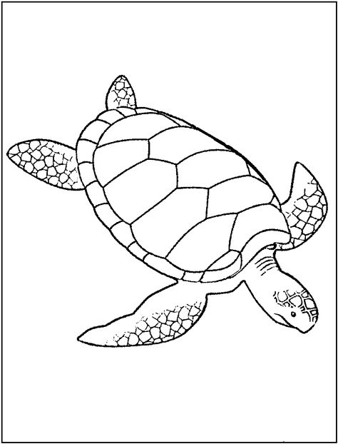 Coloring Pages Turtles Coloring Pages Turtle, Pictures Of Turtles, Sea Turtle Drawing, Ninja Turtle Coloring Pages, Turtle Coloring, Ocean Coloring Pages, Turtle Coloring Pages, Printable Colouring, Turtle Drawing