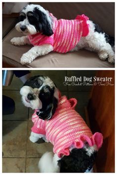 Crochet Dog Sweater Free Pattern, Dog Clothes Patterns Sewing, Large Dog Sweaters, Crochet Dog Clothes, Dog Sweater Crochet Pattern, Pet Sweaters, Dog Sweater Pattern, Small Dog Sweaters, Crochet Dog Patterns