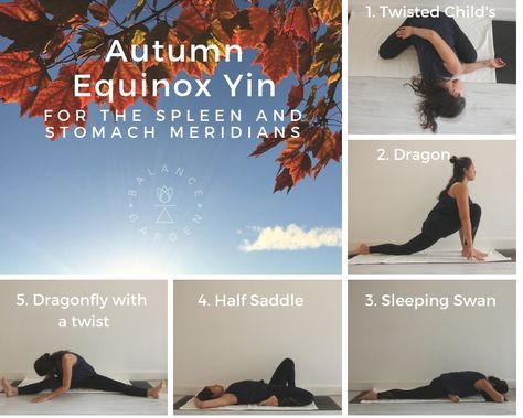 Fall Equinox Yin Yoga Sequence, Fall Equinox Yin Yoga, Earth Element Yin Yoga, Autumn Yin Yoga Sequence, Fall Yin Yoga Sequence, Evening Yin Yoga Sequence, Fall Yoga Themes, Fall Equinox Yoga Sequence, Autumn Yoga Sequence