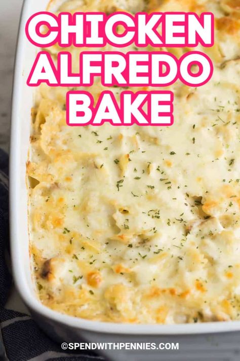 Chicken Alfredo Bake {Great Freezer Dish!} - Spend With Pennies Chicken Alfredo With Rotel, Make Ahead Chicken Alfredo Casserole, Chicken Alfredo With Angel Hair Pasta, Chicken Alfredo Pie, Sams Club Chicken Alfredo Recipe, Knorr Alfredo Recipes Chicken, Chicken Alfredo Spaghetti Bake, Chicken Alfredo With Raos Sauce, Baked Chicken Alfredo Pasta With Jar Sauce