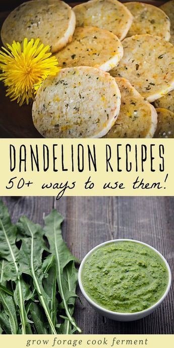 Recipes For Drinks, Flower Recipes, Edible Flowers Recipes, Wild Food Foraging, Dandelion Flowers, Recipes Drinks, Foraging Recipes, Edible Wild Plants, Foraged Food