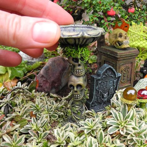 Fairy Garden Design Ideas, Halloween Fairy Garden, Halloween Fairy, Fairy Garden Crafts, Fairy Garden Designs, Diy Halloween Decor, Fairy Furniture, Halloween Miniatures, Halloween Garden