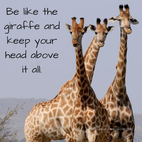 Be like the giraffe and keep your head above it all! #positivethoughts #believeinyourself #yougotthis #usborneachieversteam #bebold #achieve #makeadifference #impactliteracy #childrensbooks #wahm #momlife #lifewithkids #thankateacher #usborneusa #giraffe Giraffe Quotes Inspiration, Giraffe House, Giraffe Quotes, Giraffe Room, Morning Encouragement, Giraffe Pictures, Iphone Wallpaper Lights, Good Morning Sunshine Quotes, Nonfiction Reading