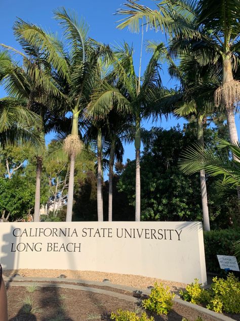 Long Beach College, Long Beach University California, Cal State Long Beach Aesthetic, Colleges In California, Long Beach State University, Csulb Aesthetic, Csulb Campus, Long Beach California Aesthetic, Hawaii State University